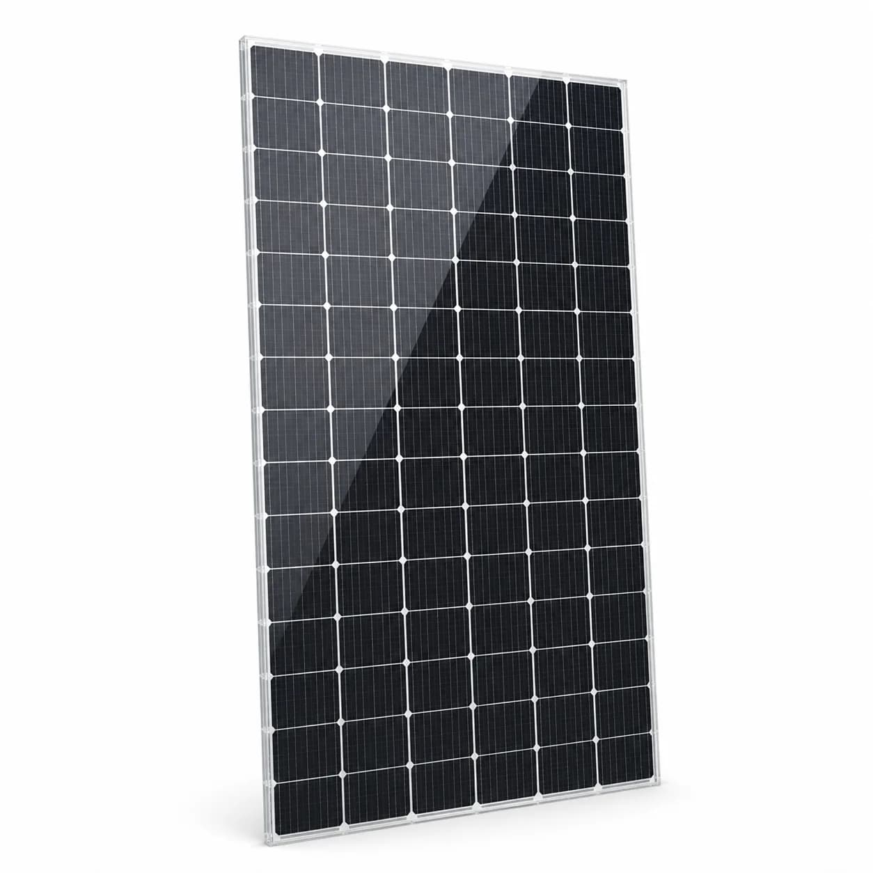 Bifacial module